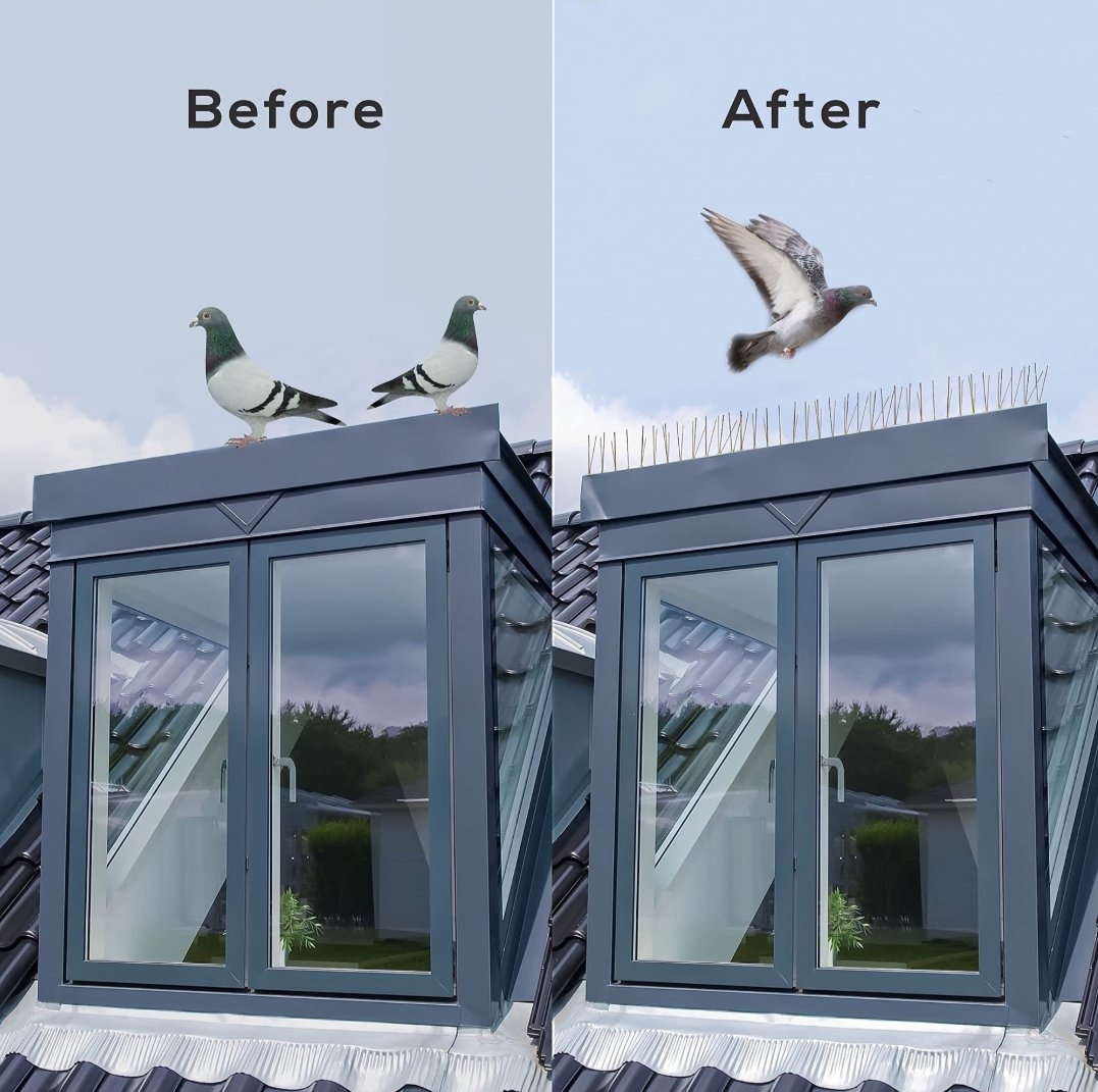 Bird Spikes