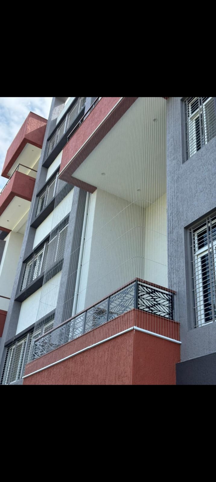 Bird Net Installation